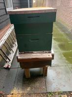 Complete spaarkast 2e hands, Dieren en Toebehoren, Bijen