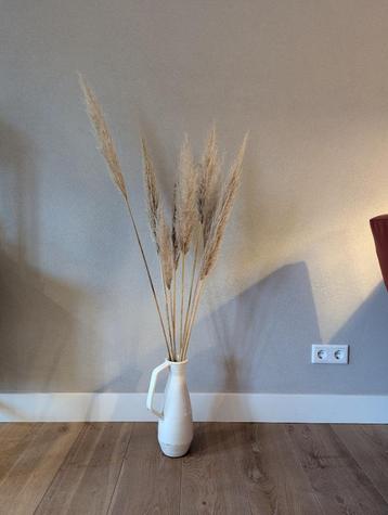 Decoratie pampas pluimen - lengte tussen 90 en 140 cm beschikbaar voor biedingen