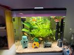 Panorama aquarium 60 liter, Dieren en Toebehoren, Vissen | Aquaria en Toebehoren, Ophalen of Verzenden, Zo goed als nieuw, Gevuld zoetwateraquarium