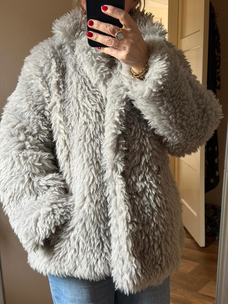 Grijze Teddy Jas, Kleding | Dames, Jassen | Winter, Ophalen of Verzenden, Gedragen, Maat 38/40 (M), Grijs