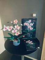 Lego Botanical Collection Orchidee (10311), Ophalen of Verzenden, Zo goed als nieuw, Complete set, Lego
