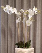 Orchideeën 6 takken en bladeren, ca. 90cm, Gebruikt, Ophalen of Verzenden