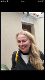 Frans Bijles, Bijles