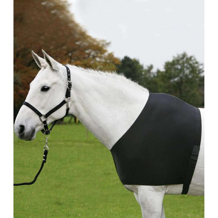 Waldhausen Borstbeschermer Comfort Vest Zwart, Dieren en Toebehoren, Paarden en Pony's | Dekens en Dekjes, Nieuw, Ophalen of Verzenden