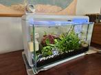 SuperFish Home 30 Aquarium, Ophalen, Gebruikt, Gevuld zoetwateraquarium
