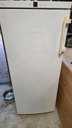 Liebherr premium vrijstaande koelkast, Witgoed en Apparatuur, Koelkasten en IJskasten, Ophalen, Zonder vriesvak, 200 liter of meer