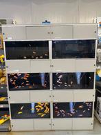 Aquarium stelling, Ophalen, Gebruikt, Leeg aquarium