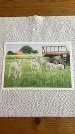 Postkaart - Schapen - Wiebe van der Zee, Ophalen of Verzenden, 1980 tot heden, Ongelopen, Overige soorten