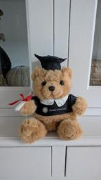 Utrecht Universiteit Afstudeer Teddy, Ophalen of Verzenden, Zo goed als nieuw, Stoffen beer, Overige merken