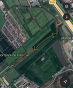 Weidegang Katwijk/Valkenburg, Weidegang, 2 of 3 paarden of pony's