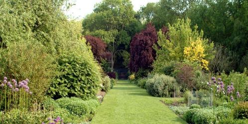 Tuinman aangeboden, Tuin en Terras, Takkenscharen, Nieuw, Ophalen of Verzenden