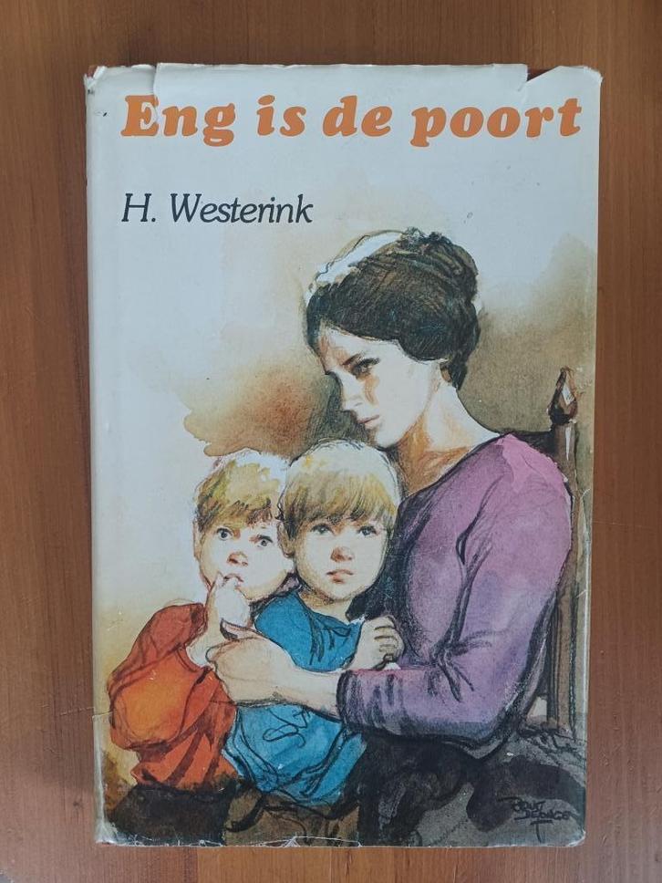 Eng is de poort, Boeken, Romans, Gelezen, Nederland, Ophalen of Verzenden