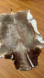 Koeienhuid vloerkleed 130/95, Gebruikt, Etten-Leur, DJT@dejuistetoon.eu, Ophalen of Verzenden
