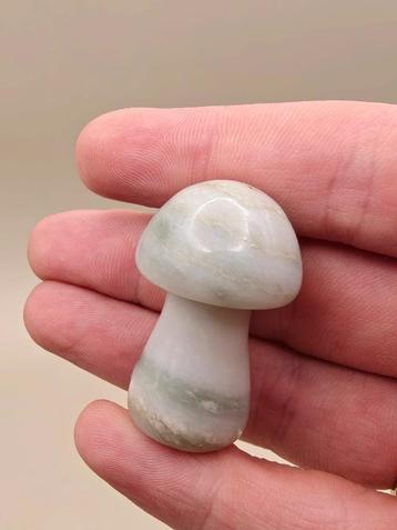 Groene Jade paddenstoel – glad gepolijst beschikbaar voor biedingen