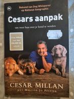 Cesar Millan - Cesars aanpak, Boeken, Dieren en Huisdieren, Honden, Zo goed als nieuw, Cesar Millan, Ophalen of Verzenden
