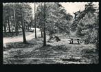Holten - Holterberg - Toeristenweg met picknickplaats, Ophalen of Verzenden, 1940 tot 1960, Gelopen, Overijssel