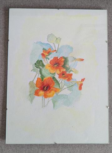 Te koop: handgeschilderd aquarel in wissellijst beschikbaar voor biedingen
