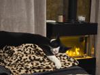 Weekendoppas gezocht voor katten en evt paarden, Particuliere oppas