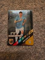 FIFA 365 2024 Voetbalplaatjes - Verzamelen, Ophalen of Verzenden, Zo goed als nieuw, Plaatje