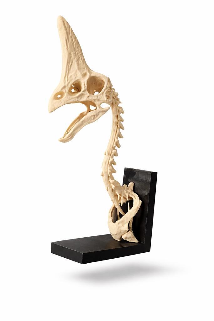 Oviraptorosaur 3D Print Replica - Dinosaurus Model, Verzamelen, Beelden en Beeldjes, Nieuw, Dier, Ophalen of Verzenden