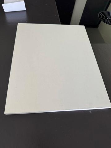 Houten Plank voor Kastje - 50 x 40 cm ongebruikt beschikbaar voor biedingen