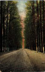 De Steeg - Middachten Allee (1911), Verzenden, Voor 1920, Gelopen, Gelderland