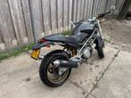 Ducati Monster 600, Motoren, Motoren | Ducati, 2 cilinders, Sportuitlaat, 583 cc, Motorrijbewijs A