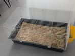 Knaagdierkooi 100cm, Dieren en Toebehoren, Ophalen, Gebruikt, Kooi, Minder dan 60 cm