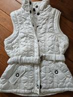 Nieuwe bodywarmer off White maat M, Maat 38/40 (M), Wit, Pescara, Nieuw