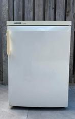 Liebherr Koelkast tafelmodel, 100 tot 150 liter, Ophalen, 85 tot 120 cm, Zonder vriesvak