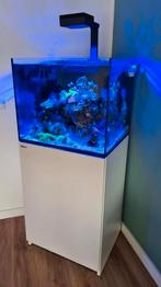Red Sea Reefer 170 Zee aquarium compleet, Dieren en Toebehoren, Vissen | Aquaria en Toebehoren, Ophalen, Gebruikt, Leeg aquarium