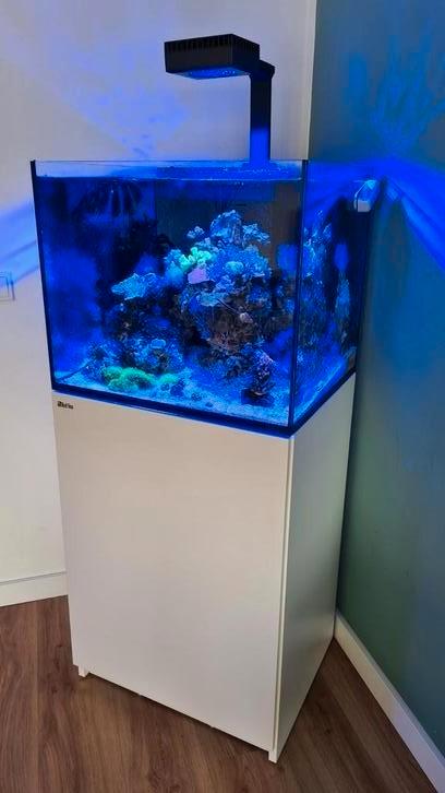 Red Sea Reefer 170 Zee aquarium compleet, Dieren en Toebehoren, Vissen | Aquaria en Toebehoren, Gebruikt, Leeg aquarium, Ophalen
