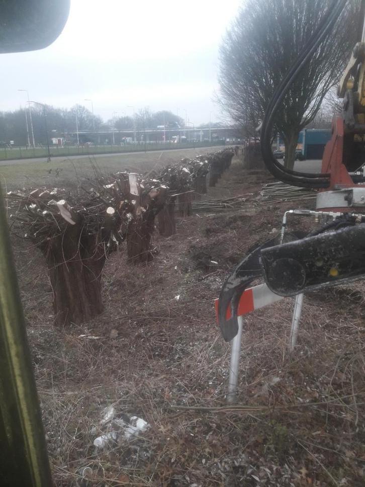 Boomverzorging, Diensten en Vakmensen, Tuinmannen en Stratenmakers