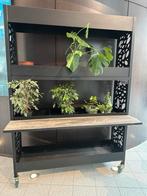 ALLEEN OPHALEN - Verrijbare Roomdivider Plantenbakken, Tuin, 100 cm of meer, Ophalen of Verzenden, Zo goed als nieuw