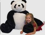 Grote beer panda knuffel xxl, Kinderen en Baby's, Speelgoed | Knuffels en Pluche, Ophalen of Verzenden, Zo goed als nieuw