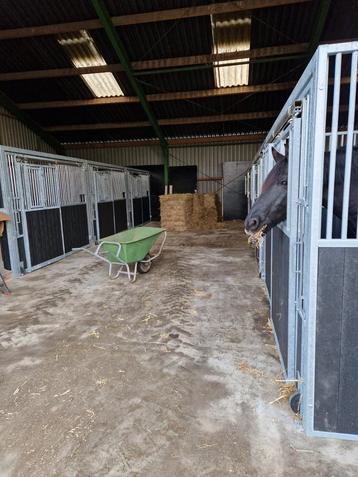 Pensionstalling paardenboxen opfok voor paarden en ponys  beschikbaar voor biedingen