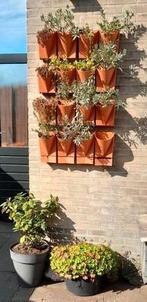 PLANTEN ETAGÉRE, Kunststof, Minder dan 30 cm, Minder dan 60 cm, Ophalen of Verzenden