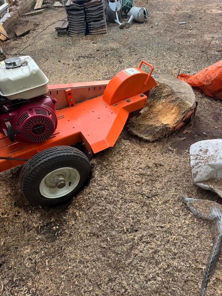 Stobbenfrezen boomstronk verwijderen, Tuin en Terras, Planten | Bomen, Overige soorten, Volle zon, Ophalen