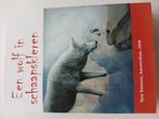 Een wolf in schaapskleren sjon ramooi, Boeken, Ophalen of Verzenden, Zo goed als nieuw