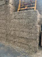 Grote balen/pakken stro 425 kilo, Dieren en Toebehoren, Dierenvoeding, Ophalen of Verzenden, Vee