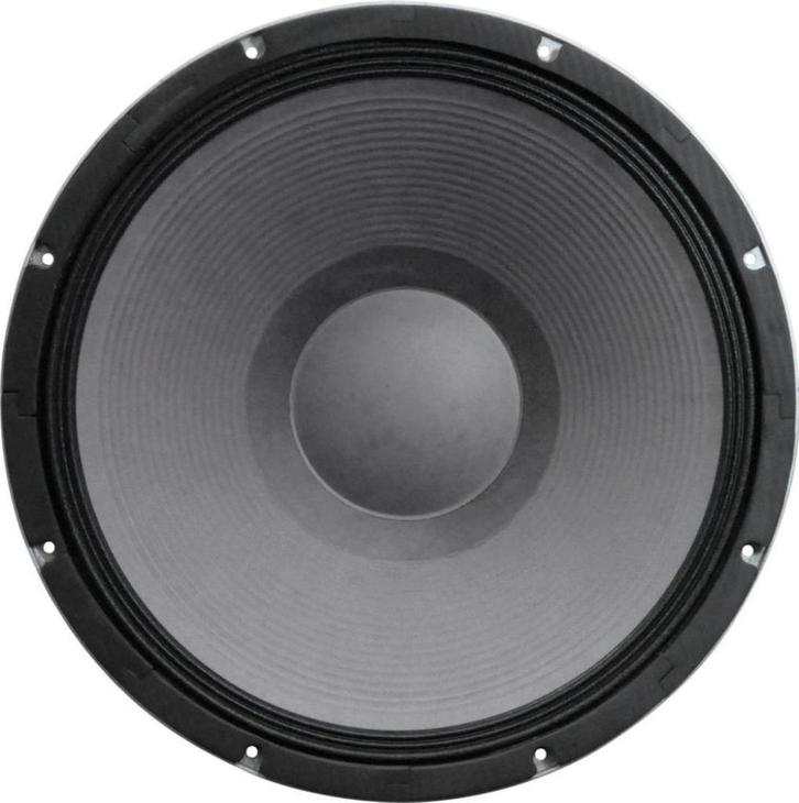 Woofer 18 inch 450 Watt, nieuw, Audio, Tv en Foto, Luidsprekers, Nieuw, Subwoofer, 120 watt of meer, Overige merken, Ophalen of Verzenden