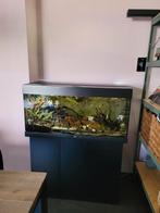 Juwel Rio 180 inclusief eheim filter en co2 installatie, Dieren en Toebehoren, Vissen | Aquaria en Toebehoren, Ophalen, Zo goed als nieuw