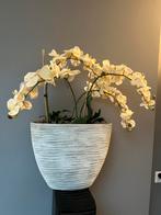 ZIJDE KUNST ORCHIDEEËN BLOEMEN PLANTEN IN DESIGN BLOEMPOT XL, Binnen, Zo goed als nieuw, Ophalen