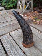 Antieke Kruithoorn met Snijwerk, Antiek en Kunst, Antiek | Overige Antiek, Ophalen of Verzenden