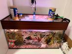 Aguarium en wis, Dieren en Toebehoren, Ophalen, Zo goed als nieuw