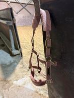 Kentucky halster teddy roze maat cob, Ophalen of Verzenden, Zo goed als nieuw, Overige soorten