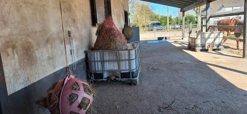 Aangeboden schuilstal met padock/weiland, Dieren en Toebehoren, Stalling en Weidegang, Weidegang, 1 paard of pony