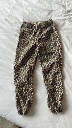 Nieuw sissy boy broek 146/152, Ophalen of Verzenden, Zo goed als nieuw, Maat 34 (XS) of kleiner, Lang