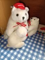 Ijsbeer knuffel met 2 kinderen Honeywell 23 cm groot, Ophalen of Verzenden