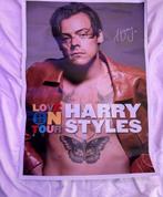 Harry styles poster, Rechthoekig Liggend, Ophalen of Verzenden, Zo goed als nieuw, Canvas of Doek